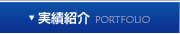 実績紹介